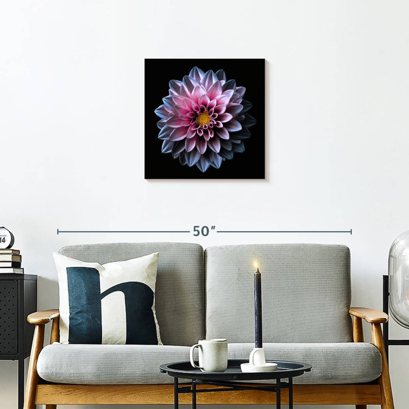 Dahlia Harnek rose et mauve, H 20 po x l 20 po