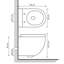 Wall Hung Rimless Toilet with Concealed Cistern Black Ceramic