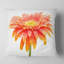 Grand coussin gerbera floral-30721282-30721278