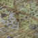 Premium Machine Washable Marasco AMF1637 Diamonds Rug