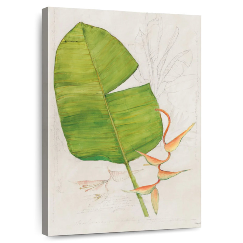 Botanical Journal II, 39" H x 26" W