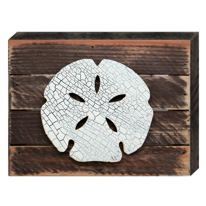 Décoration murale en bois rétro rétro en dollar de sable, H 9 po x l 12 po x P 1,5 po