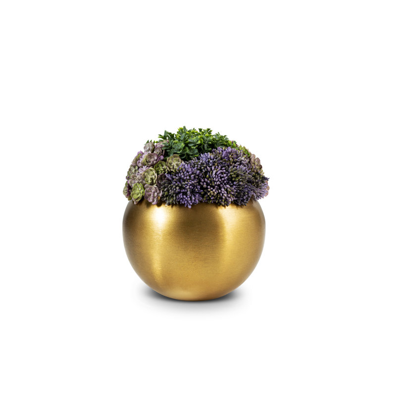 Arrangement Timeless Living Gold Sedum
