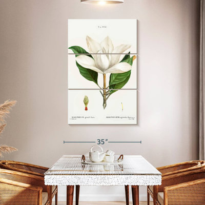 Harnek Magnolia du Sud