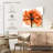 Orange Rose Xray-1564273406