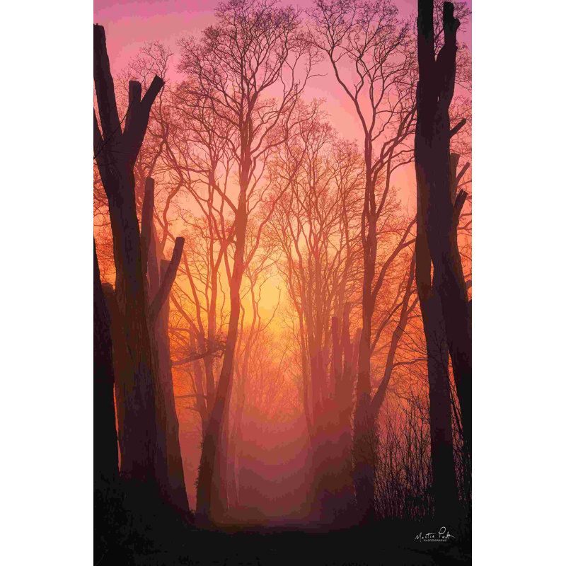 " Mysterious Mood ", 18" H x 12" W, No, Wrapped Canvas