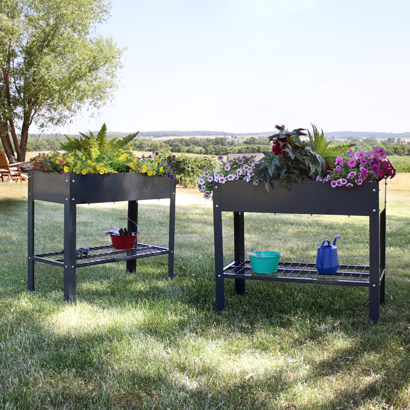 Ensemble de lit de jardin surélevé en acier galvanisé Pinero - 2 - gris foncé, Gris foncé