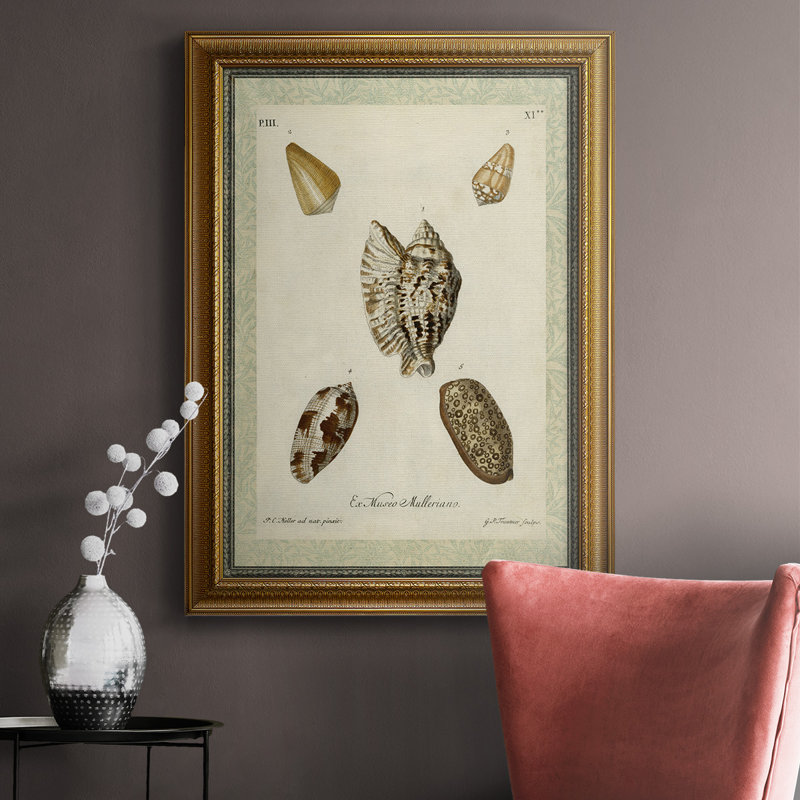 " Bookplate Shells II ", 18" W x 27" H