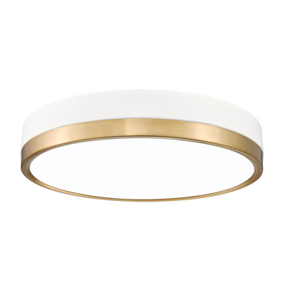 Brexleigh Acrylic LED Flush Mount