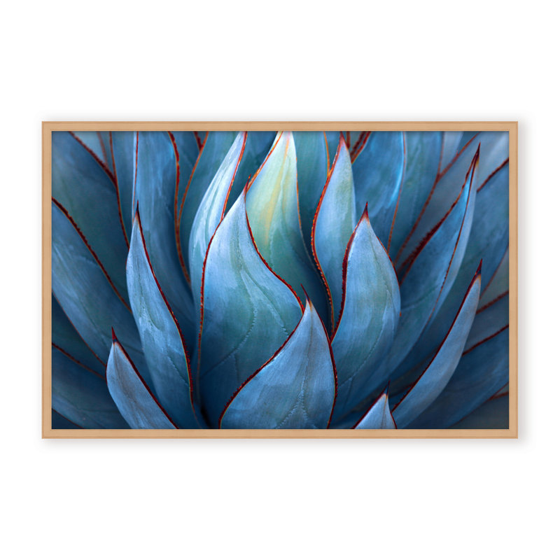 Nature Inspired Blue Agave Abstract by  - Picture Frame Graphic Art on Paper, 24" H x 36" W x 1.125" D, Black