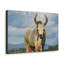 No Frame Print on Canvas-715277664