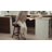 Carney Swivel Upholstered Counter Stool with Solid Wood Frame