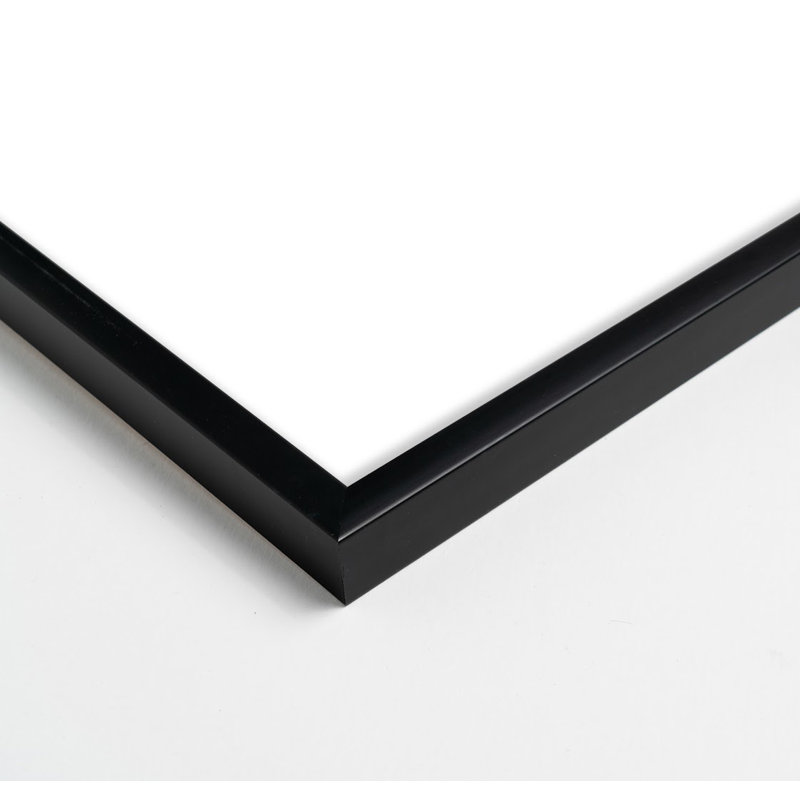 «Goodall Copper Harmony Set of 2» par Andrea Stokes - Ensemble de 2 reproductions encadrées, H 50 po x l 80 po, Noir