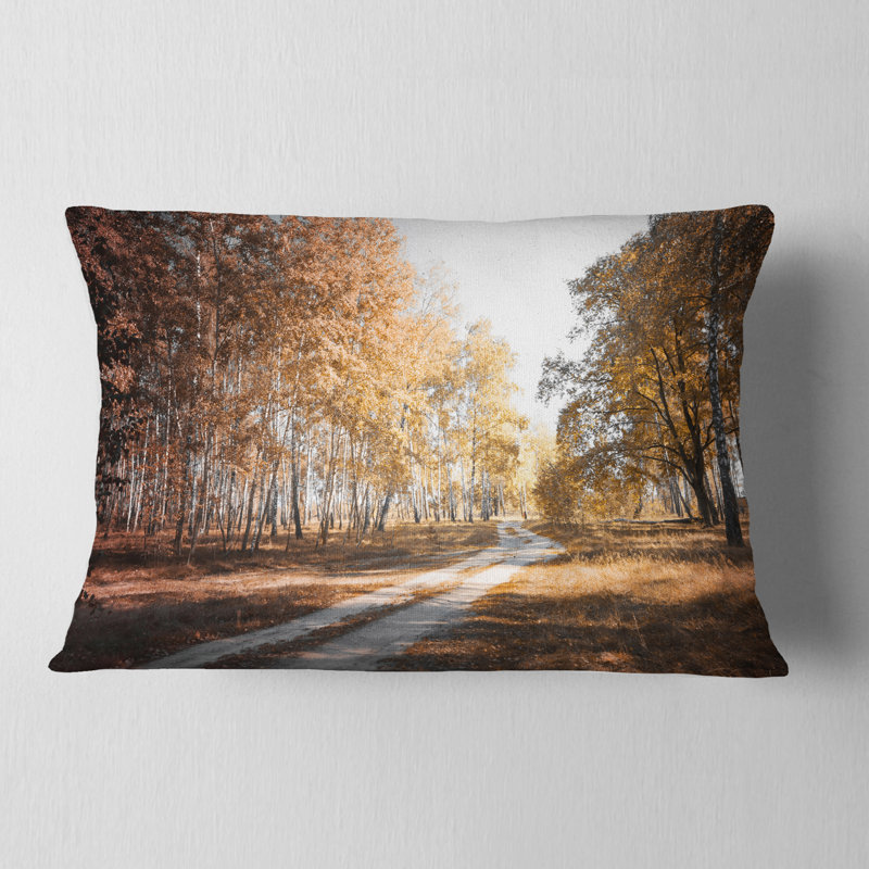 Coussin lombaire en bouleau d’automne, droit forest road