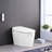 Self-Cleaning Nozzle Smart Toilet, Warm Air Drying, Side Knob Control. Ceramic, 15.59In Width, 100.31Lb Package Weight, Night , Heated Seat Flush. White 18.98In Height, Weight