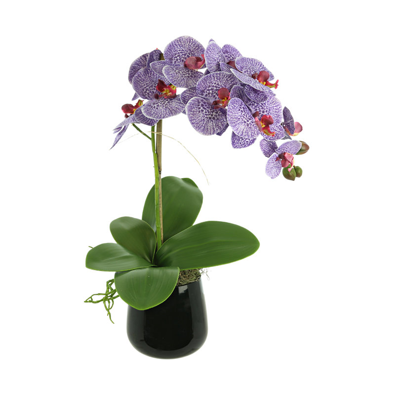 Orchid Faux Floral in Vase