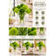 Arrangement de dianthus vert avec touche réelle, décor de maison / bureau moderne, centre de table en fausse fleur artificielle