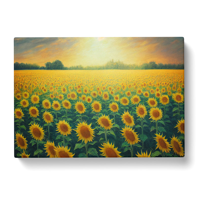 Dreamy Sunflower Field - Wrapped Canvas Print, 35cm H x 50cm W