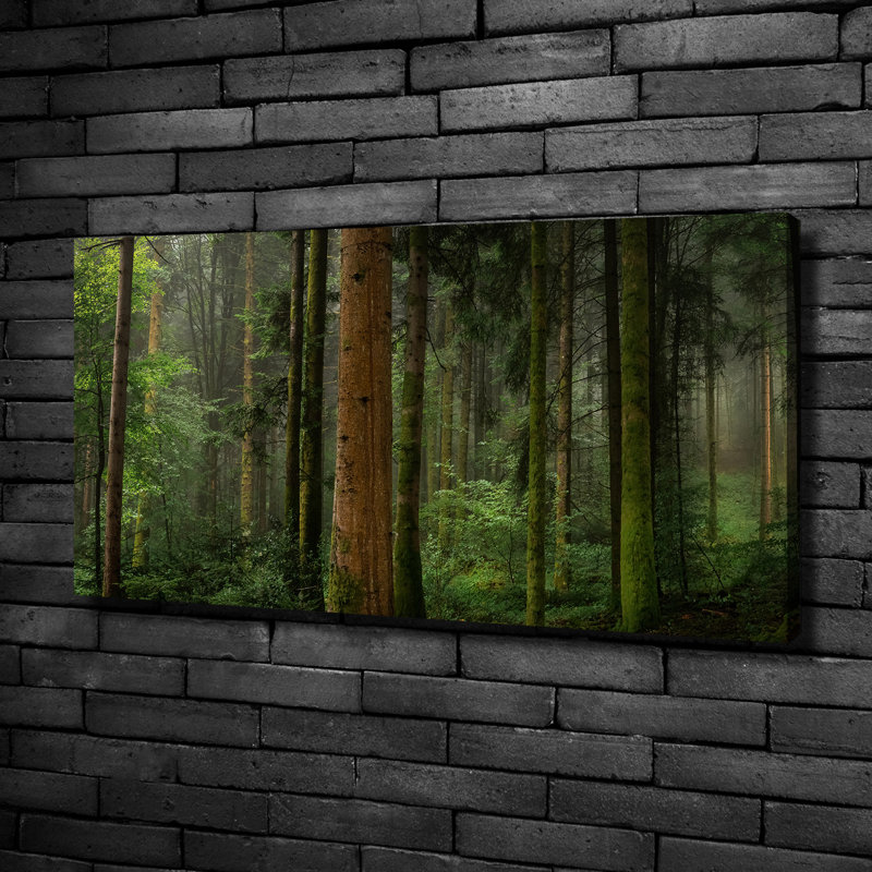 Fog In The Forest - No Frame Print on Canvas, 50cm H X 100cm W