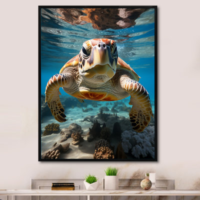 Reproduction d'art mural Turle Marine Life Encounter II