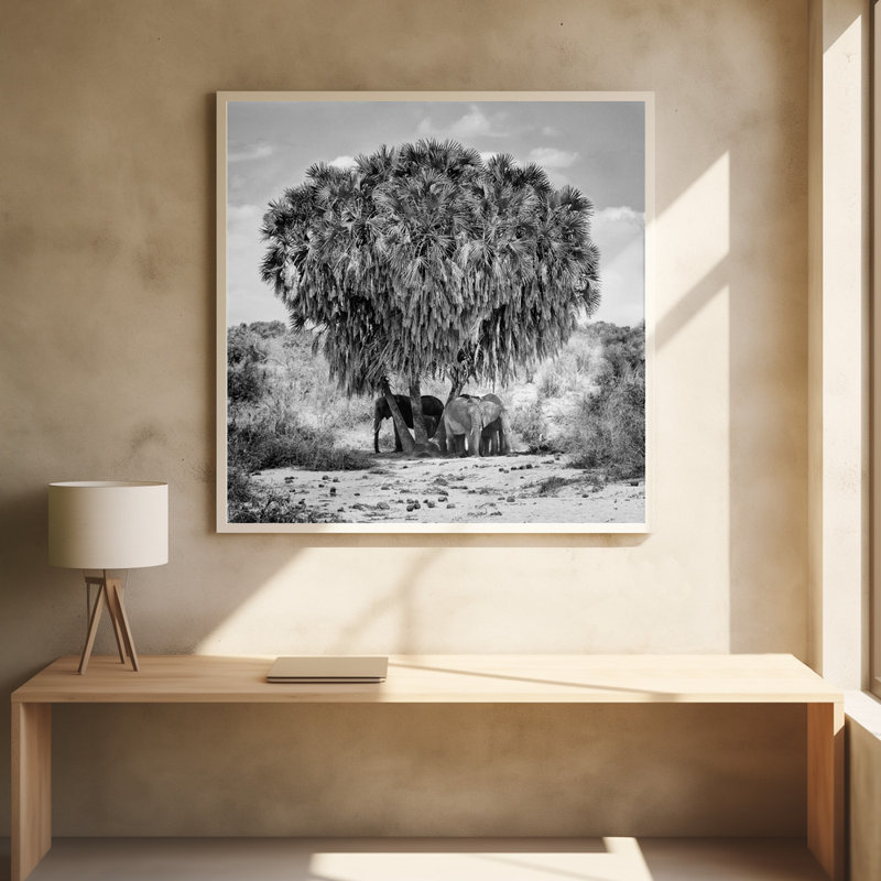 Wrapped Canvas Print, 50.8 cm H x 50.8 cm W
