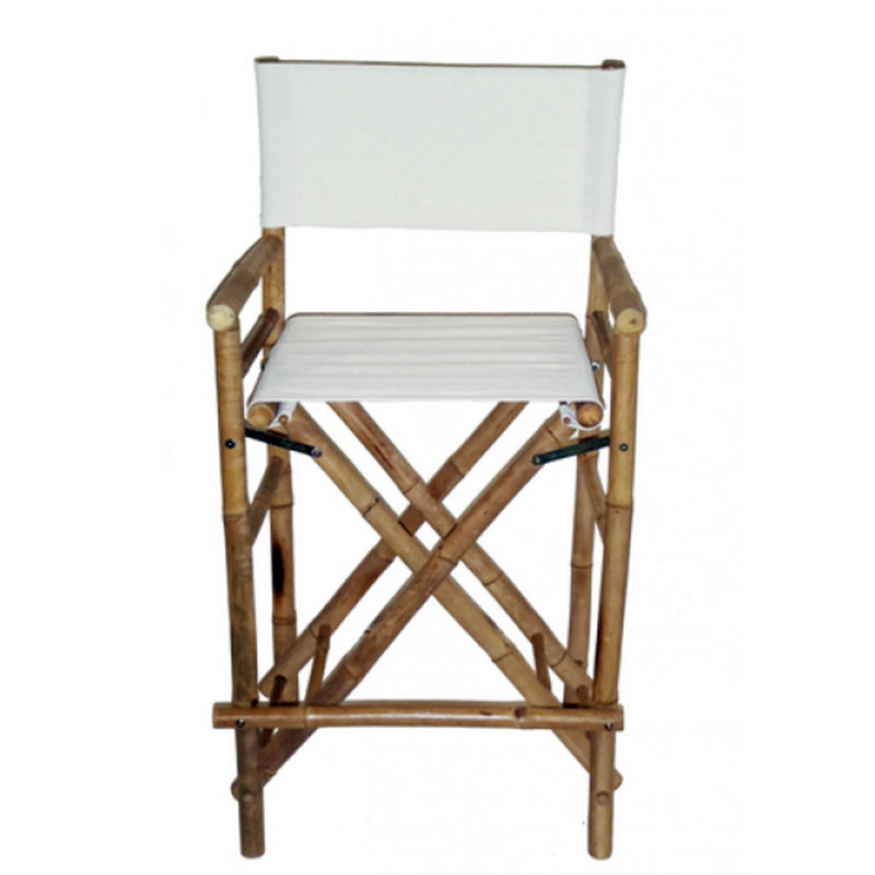 Folding Director Chair