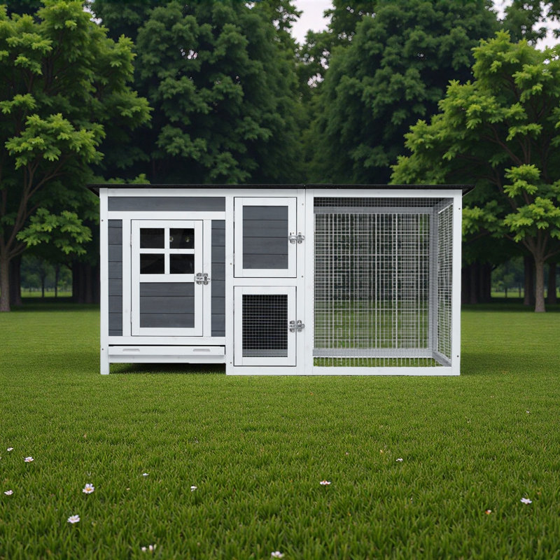 Cage à poulets pour l'extérieur