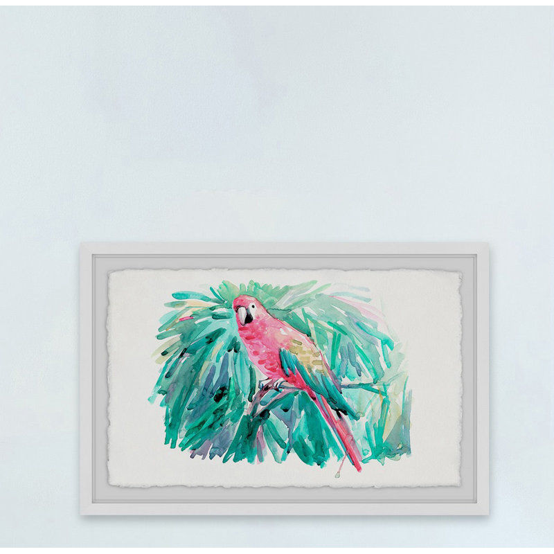 Pretty Parrot - Single Picture Frame Print, 30cm H x 45cm W