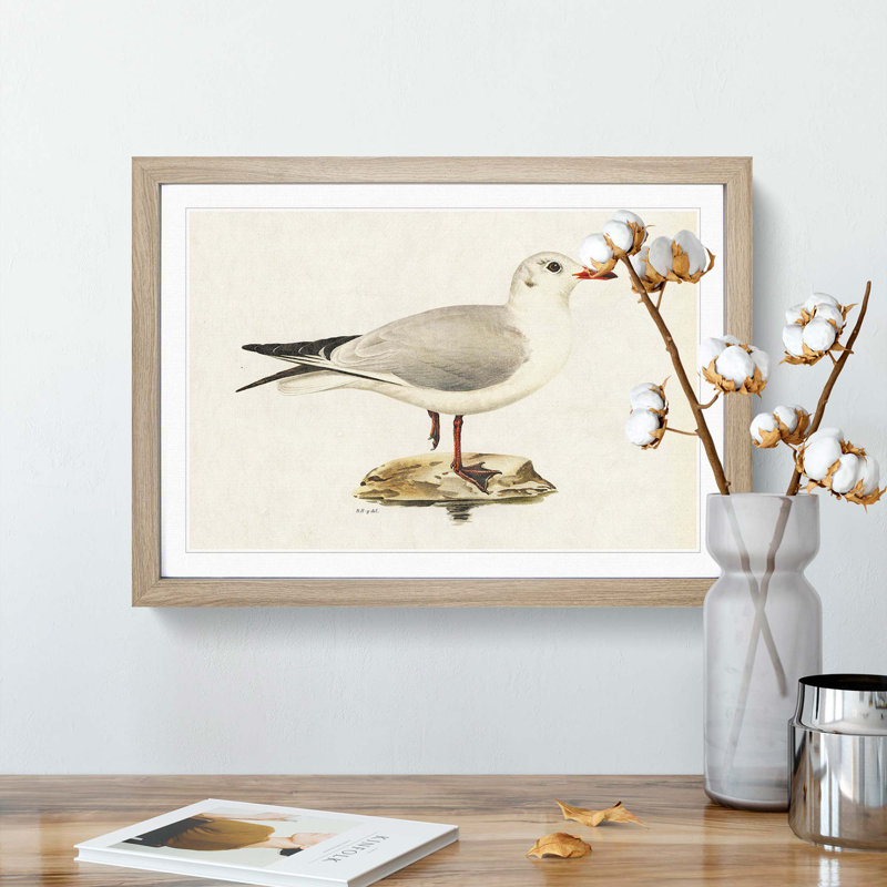 Black-Headed Gull by Von Wright - Picture Frame Art Print, Oak Framed, 48cm H x 65cm W x 2cm D