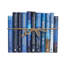 Modern Blue Jean Dust Jacket ColorPak