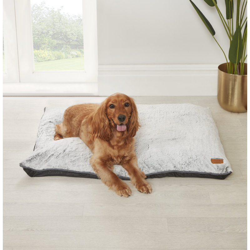 Polyester Pet Bed, 4.72cm H x 39.37cm W x 27.56cm D