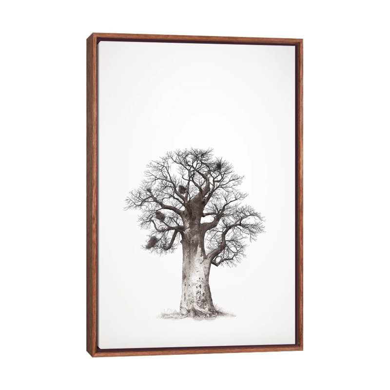 Baobab Legacy V 1 Piece Wall Art on Canvas, 101.6 cm H x 66.04 cm W, Classic Brown Wood Framed
