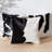 Cowhide Pillow-614093438