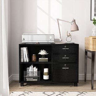 https://assets.wfcdn.com/im/2699213/resize-h310-w310%5Ecompr-r85/1512/151237838/35w-3-tiers-storage-file-cabinet-with-3-locking-drawers-casters.jpg