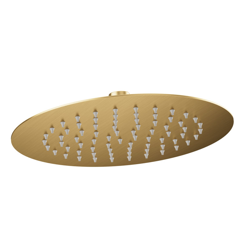 10-inch Single-Spray Round Rain Shower Head, Brushed Gold