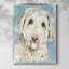 Gossamer II-505096138-505096117-505096116