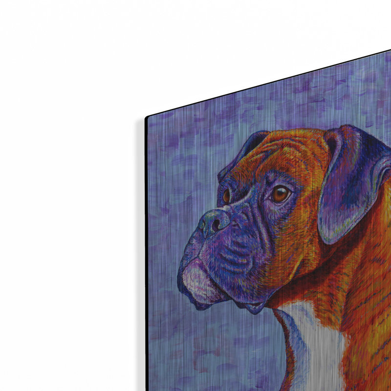 «Brindle Boxer Dog» par Rebecca Wang Art, H 16 po x l 12 po