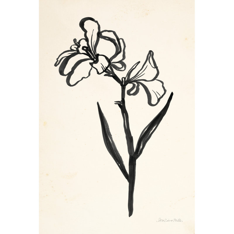 Ink Flower II Cream by Sara Zieve Miller - Wrapped Canvas Print, 51cm H x 76cm W x 3.8cm D