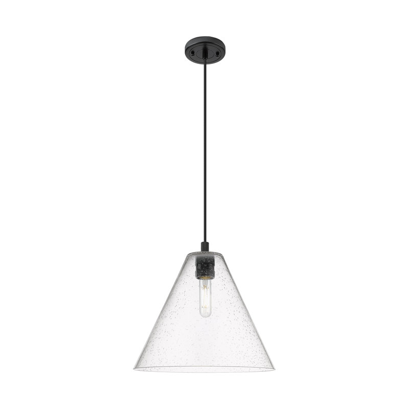 Downtown Urban - Crown Point - Luminaire suspendu à cordon 1 lumière 12 po Berkshire, Grainé, Noir mat
