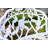 Shatley Metal Rose Garden Bench-889896339