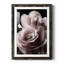 Rose noire II - photographie-1227621812-1227621809