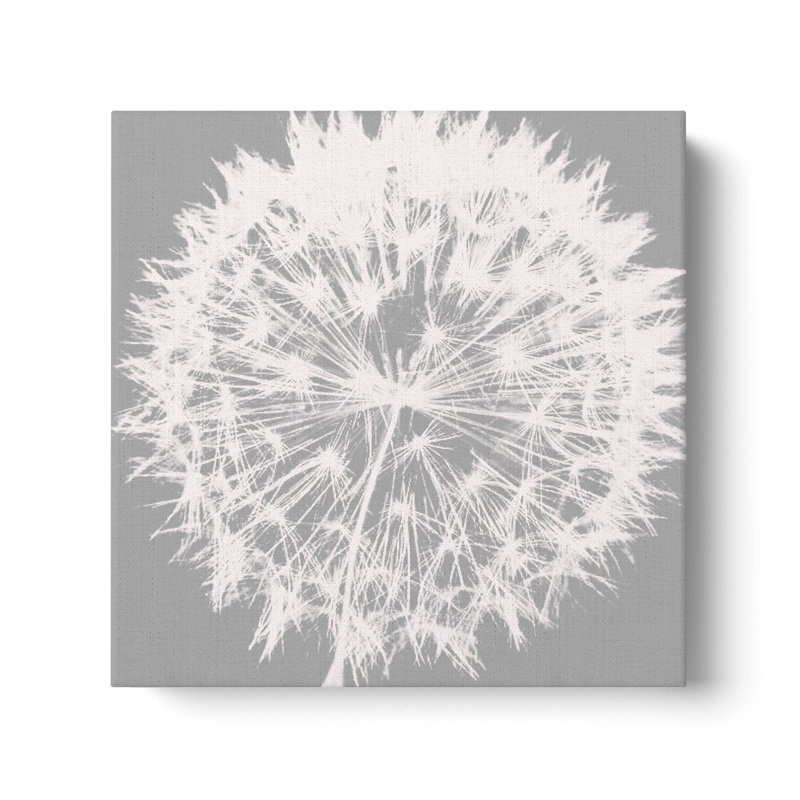 «Dandelion 7» par Irena Orlov, reproduction d'art sur toile tendue à motif floral blanc et gris, H 14 po x l 14 po x P 2 po