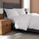 Percale Solid Colour Fitted Sheet
