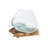 Kaydenze Decorative Glass Planter on Wood Base