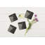 4 Square Slate Coasters with Highland Cow Design