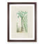 Cactus Illustration - Framed Print-55620958-55620956