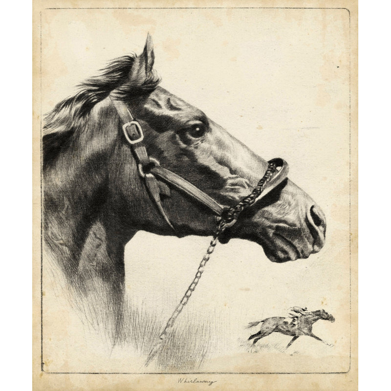 "Whirlaway", reproduction sur toile tendue, H 45 po x l 30 po x P 1,5 po