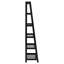 Sansa Ladder Bookcase-89207705-107681966