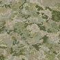 Teintes de vert ‑ 0542-46