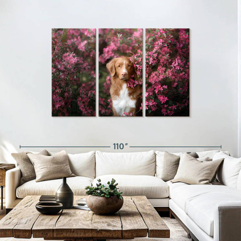 Toller In The Garden
